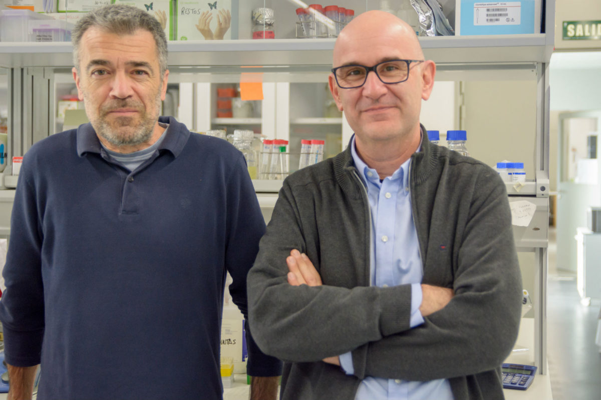 Francisco Antequera y Luis Quintales, responsables de la investigación publicada en "Genome Research". Foto: Sergio Manzano